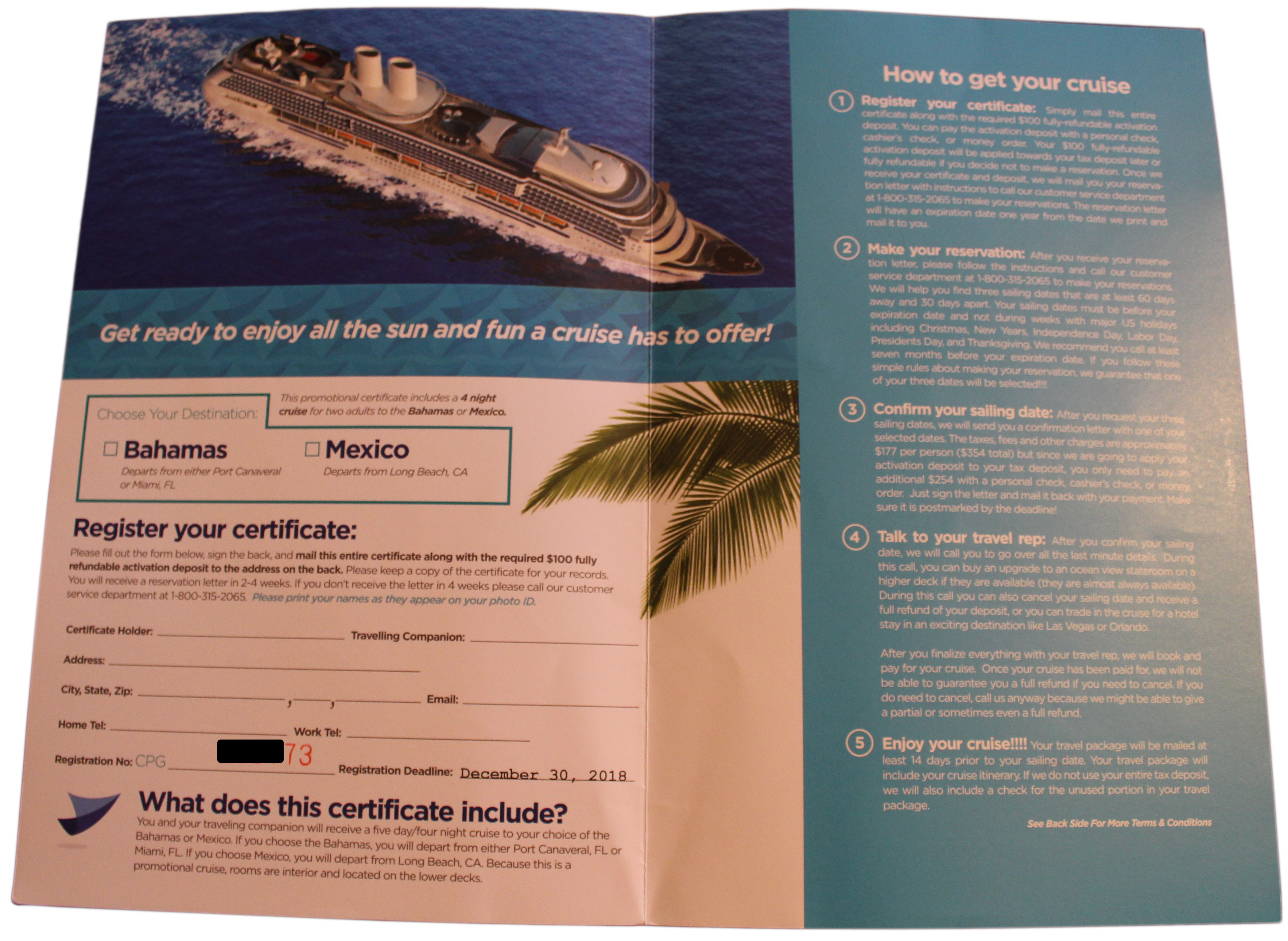 cruise incentives